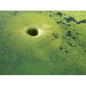 SKIMCRUSH PRO 7 pour Pompage lentilles d'eau azolla